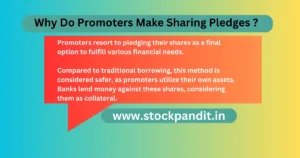 What Is the Share Pledge